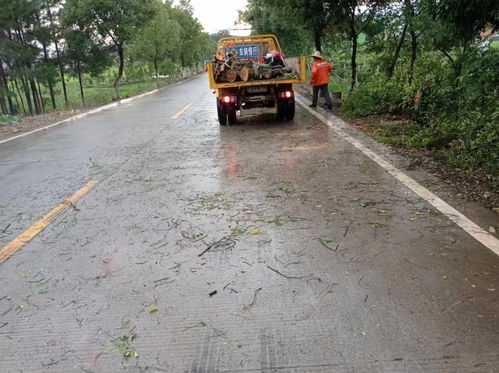 乐昌公路养护中心及时排险保畅通