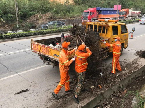 陈村养护站清理公路水沟.营造洁净畅通公路环境